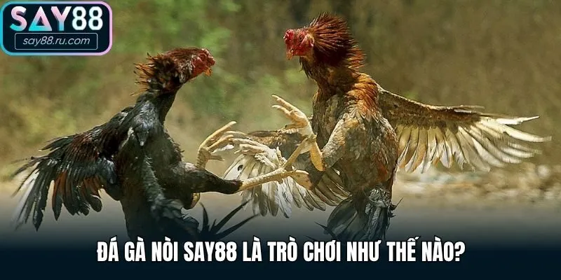 Đá Gà Nòi Say88 là trò chơi như thế nào?